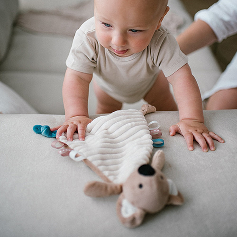 Peluche Doudou Koala Charlie