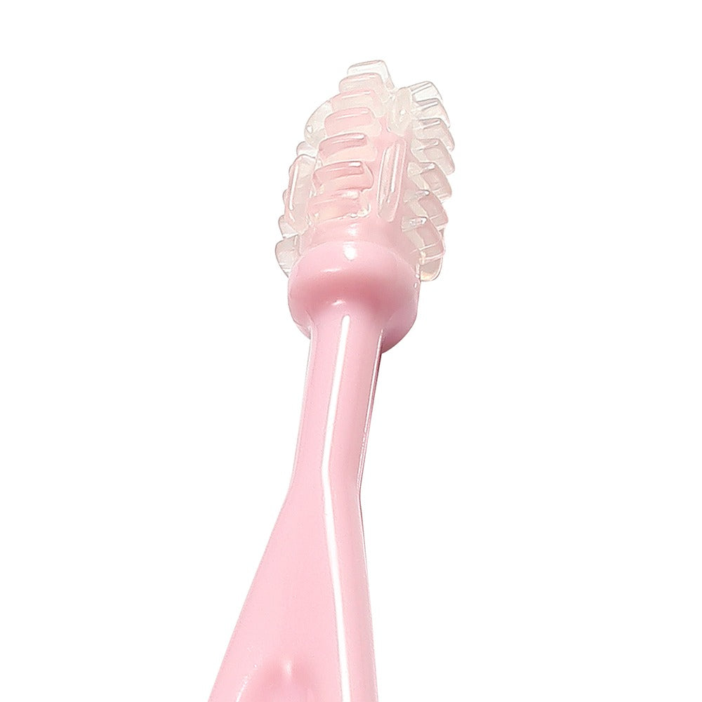 Set Spazzolini da Denti Rosa