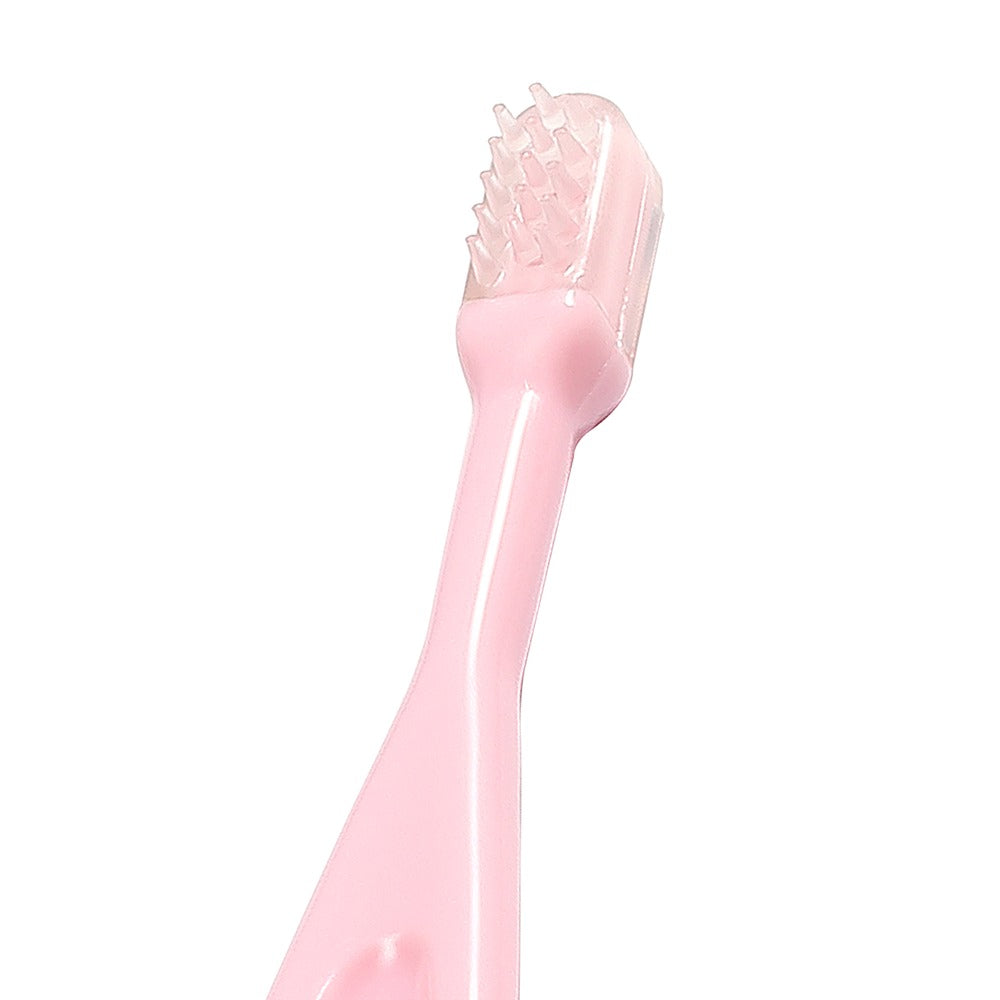 Set Spazzolini da Denti Rosa