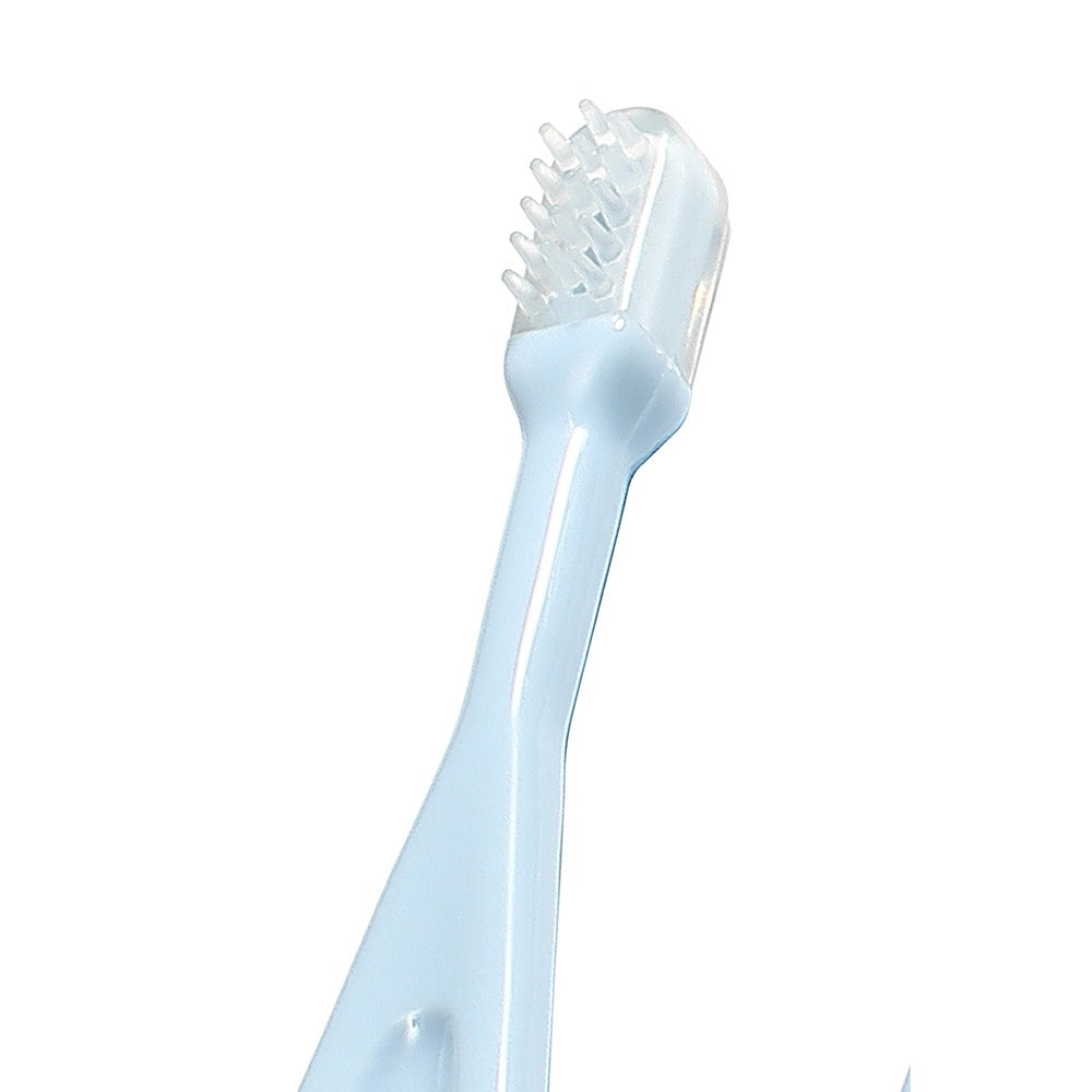 Set Spazzolini da Denti Blu