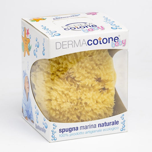 Spugna Marina Naturale in Box