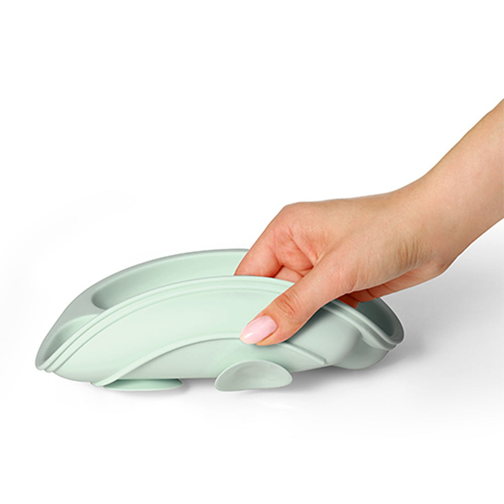 Piatto con Ventosa in Silicone Verde