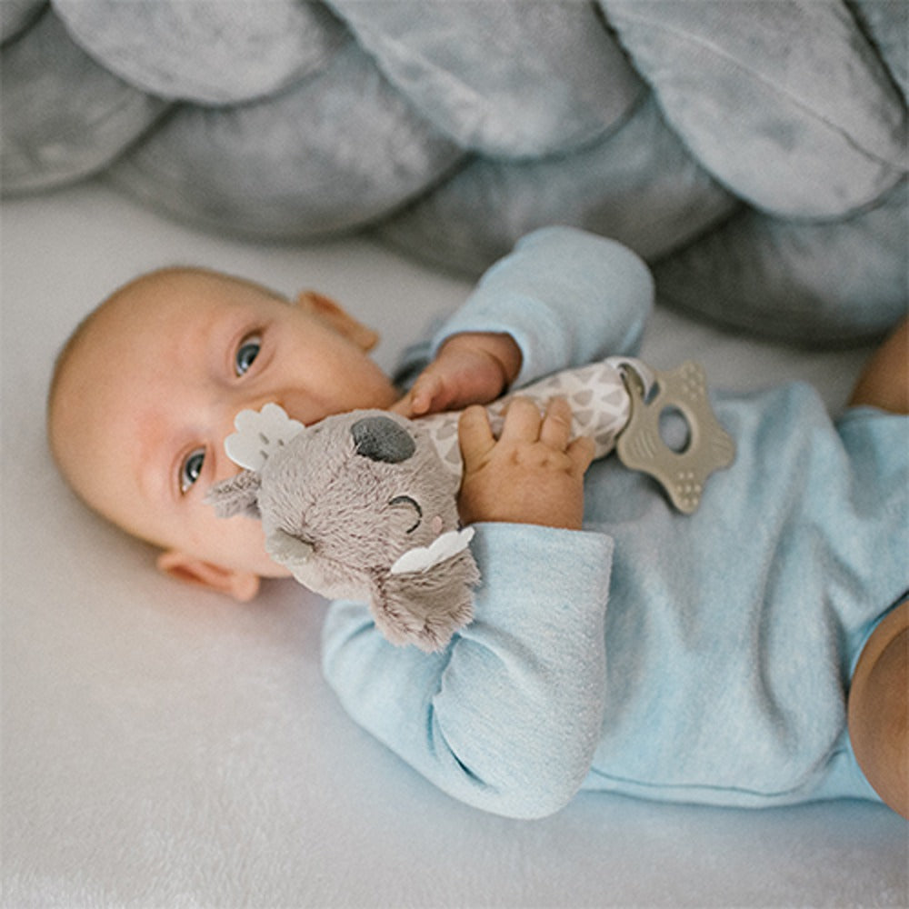 Squeaker Koala Coco