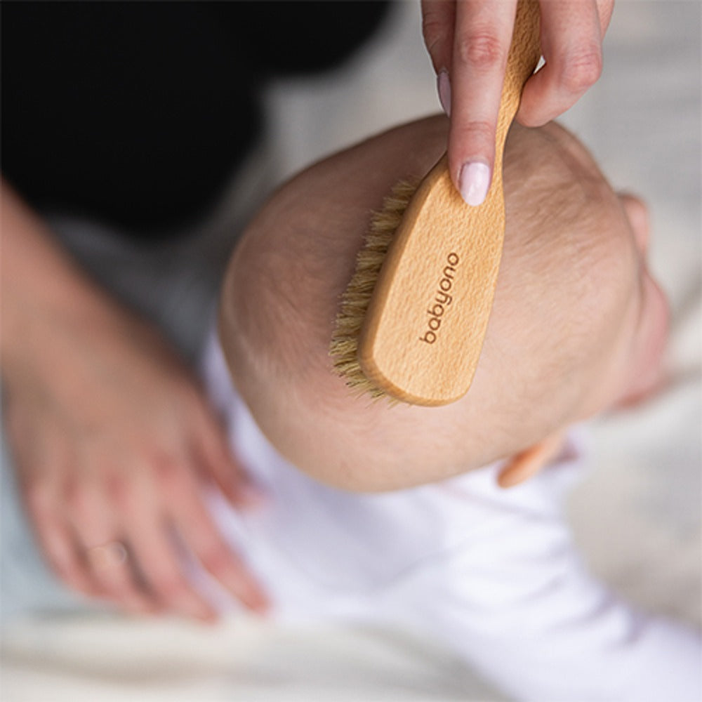 Spazzola con Setole Naturali Medie