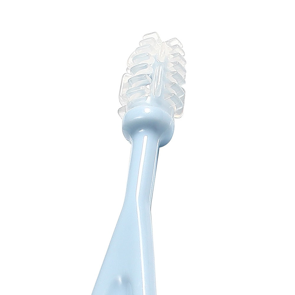 Set Spazzolini da Denti Blu