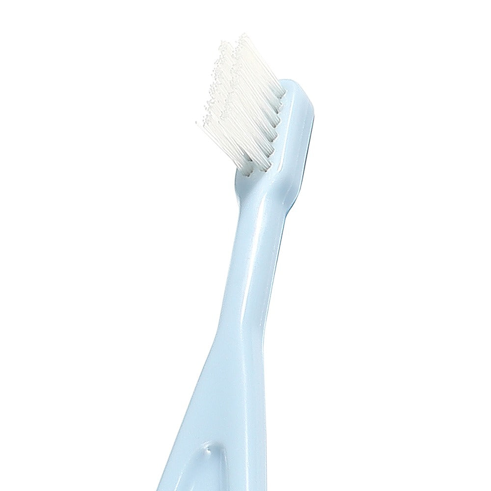 Set Spazzolini da Denti Blu