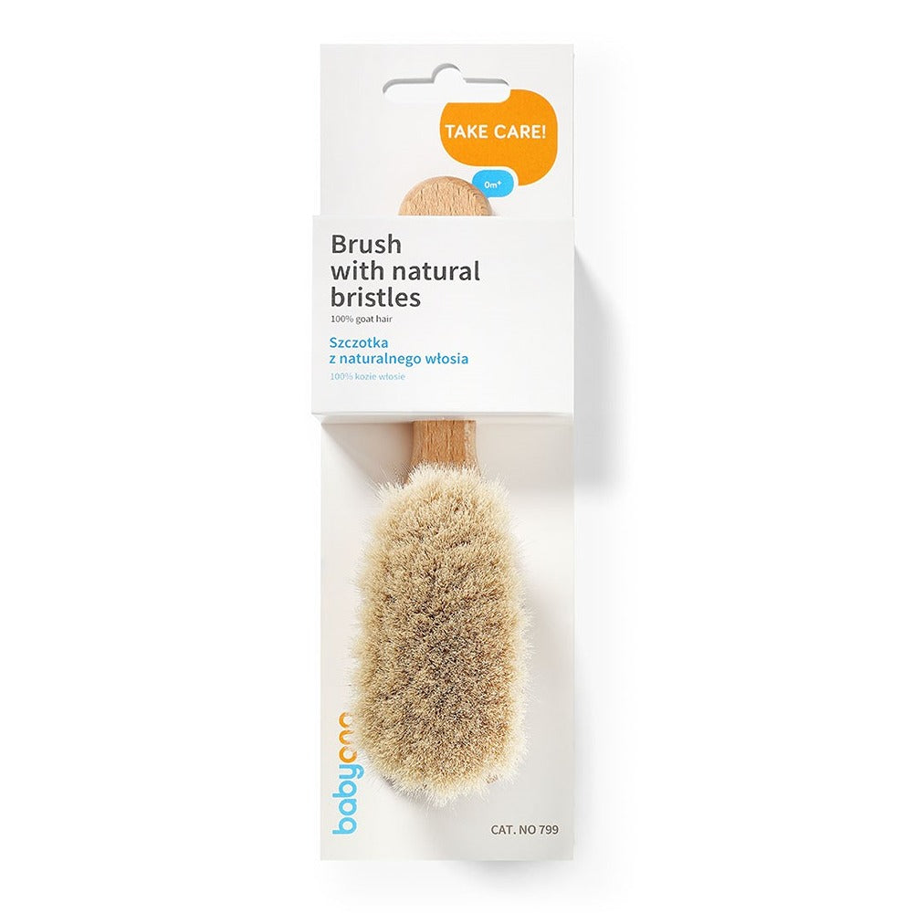 Spazzola con Setole Naturali